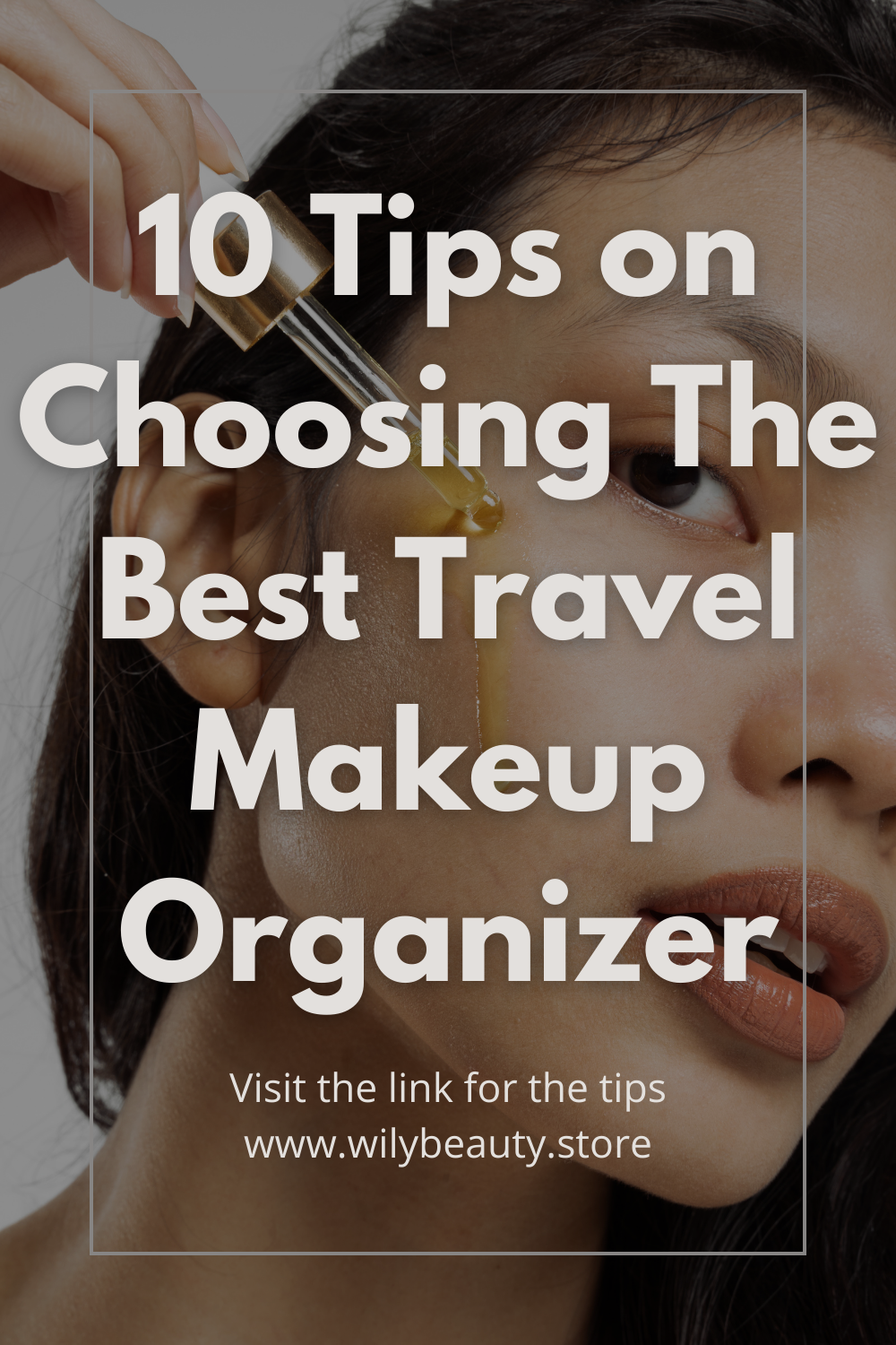 Travel make up organizer