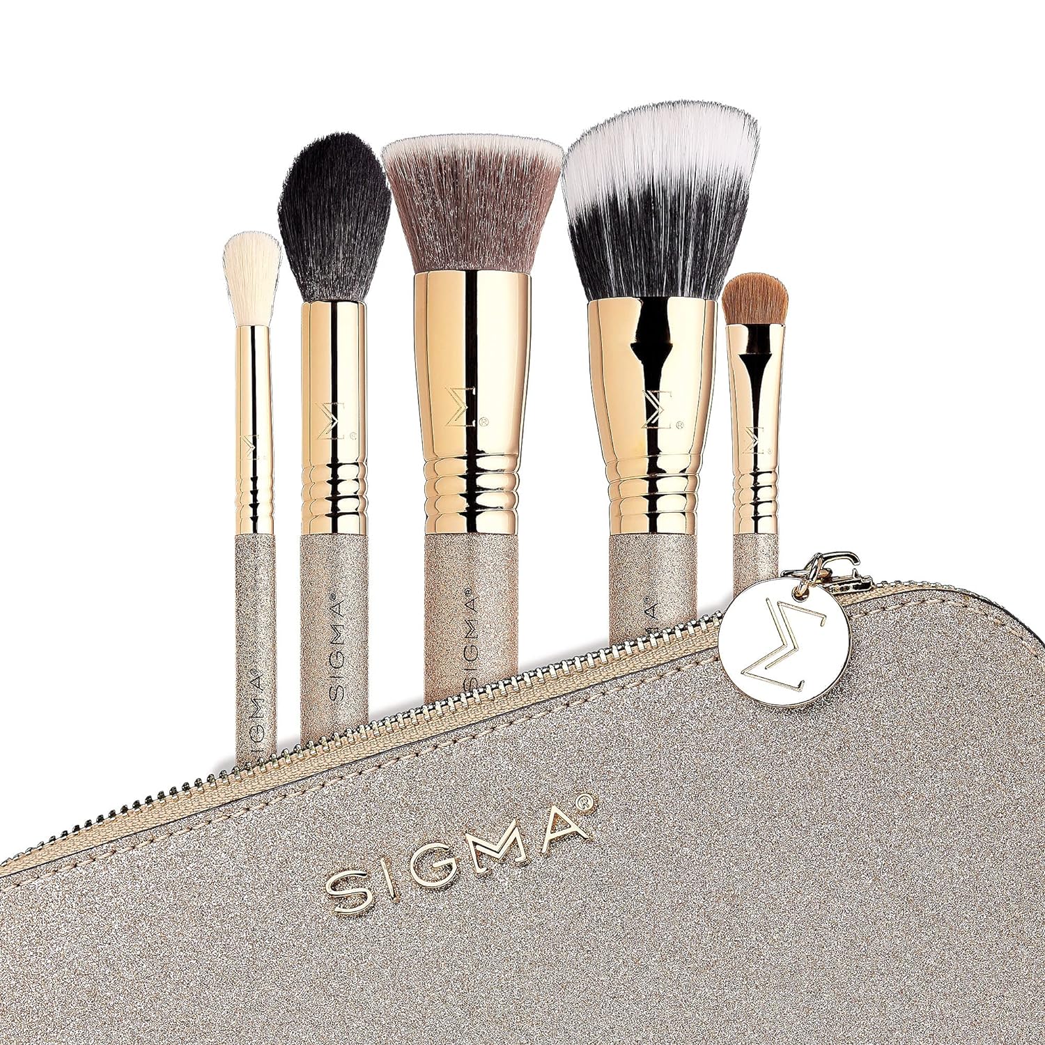 Sigma makeup Brushes